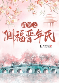 清穿之侧福晋奋斗史完结