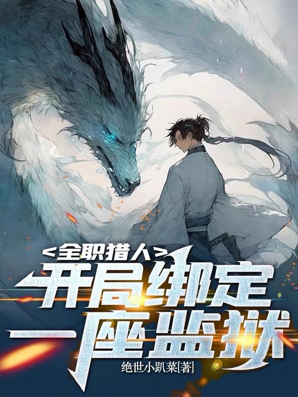 全职猎人之系统小说