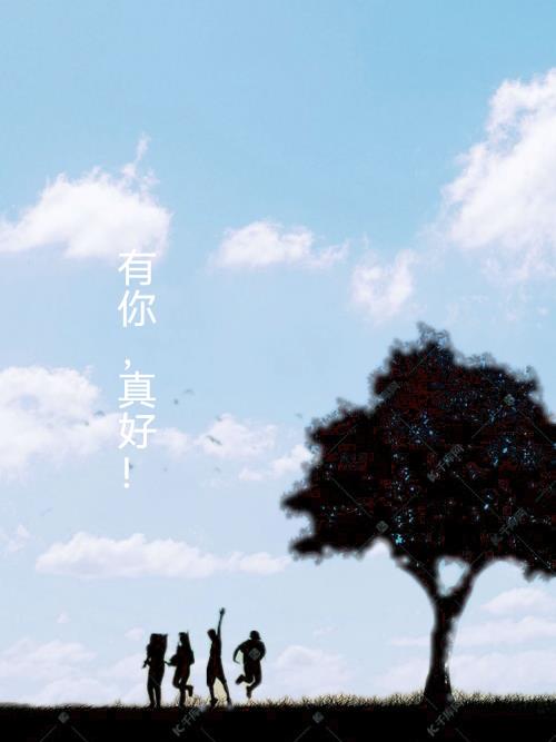 有你真好海报