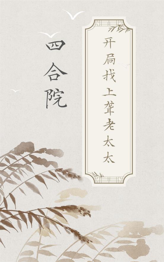 四合院骂聋老太太的小说