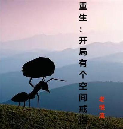 重生之空间戒指全本
