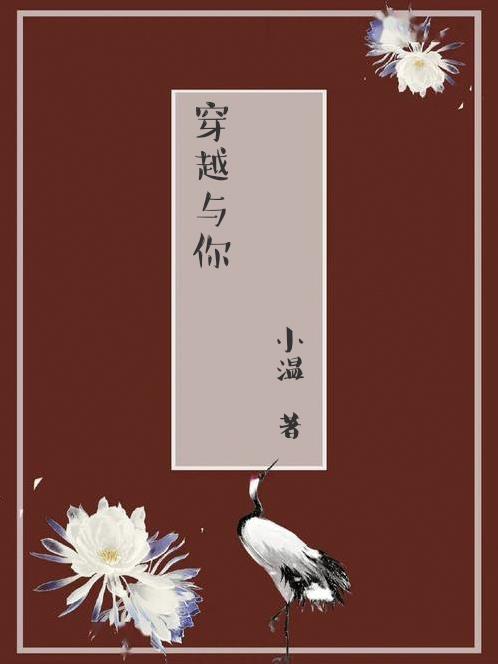 穿越时光与你别来无恙小说