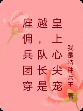 雇佣兵长篇小说