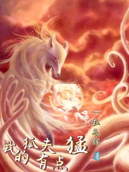 我的狐狸是夫君 小说