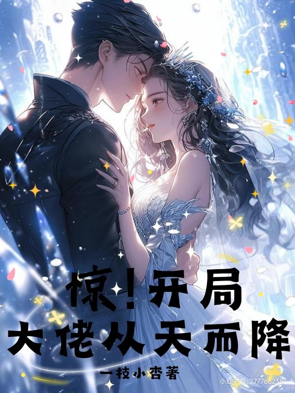 从大佬开局免费阅读