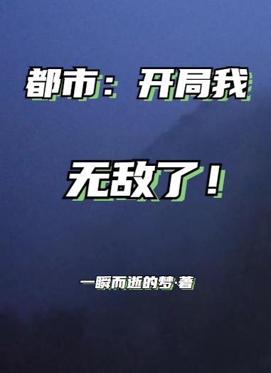 都市开局我有一个军火系统