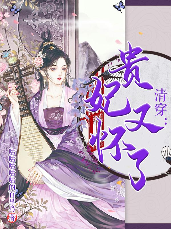清穿贵妃不上进