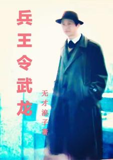 兵王小说主角姓龙