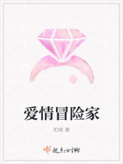 爱情冒险记电视剧