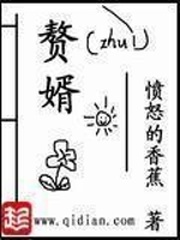 赘婿电视剧在线免费全集星辰影院