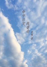 命中注定我爱你百度网盘 1080P