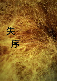 失序记